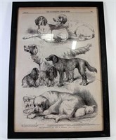 FRAMED "THE ILLUSTRATED LONDON NEWS"