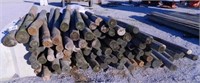 approx 100 wood fence posts