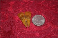 Two pieces of Jasper