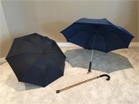 Adjustable cane and 2 umbrellas