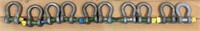 (10) Assorted Shackles