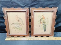 Antique Framed Bird Prints