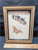 Antique Lizars SC Butterfly Prints