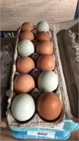12 Fertile Ameraucana & Copper Maran Eggs
