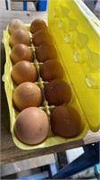 1 Doz Barnyard Mix Fertile Eggs