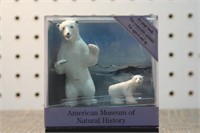 behind the Diorama bears with book