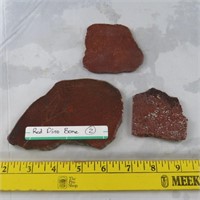 Red Dino Bone slabs