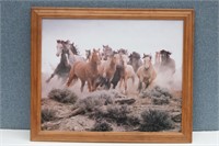 Wild Horses- Western Photo Print
