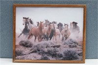 Wild Horses-Western Photo Print