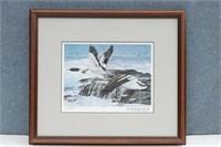 Signed & Numbered-Sea Coast Merganser' Duck Print
