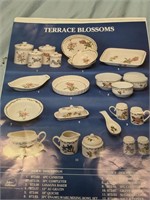 Terrace blossoms service for 12 w/ extras