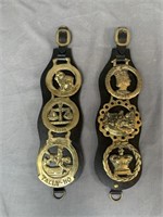 Lot 2 Kidney Drop Straps