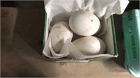 3 Fertile White & Gray Goose Eggs