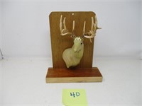 Hand Carved Buck