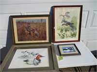 Framed Duck/Pheasant Prints