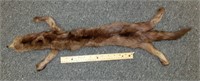 full mink pelt c.1920