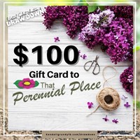 $100 Gift Card to That Perennial Place