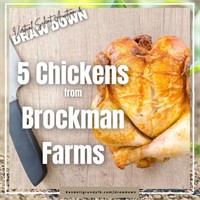 5 Chickens from Brockman Farms