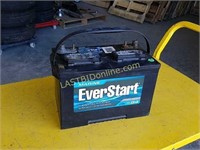 EverStart Marine Battery