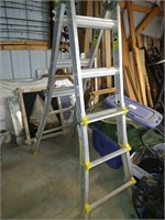 Cosco Multi Use Ladder