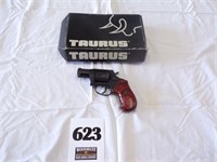 Taurus Pistol