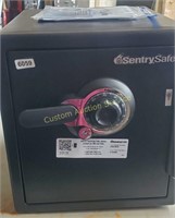 Sentry safe (info below) x-Large combination