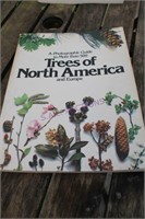 Trees Of North America And Europe