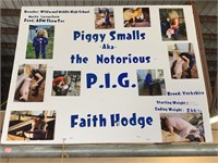 Swine- Tag #129- Faith Hodge