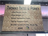 Swine- Tag #146- Thomas Yates