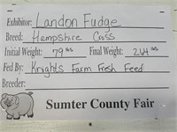Swine- Tag #150- Landon Fudge