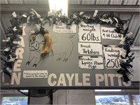 Swine- Tag #166- Cayle Pitts