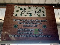 Swine- Tag #187- Layden Sheppard