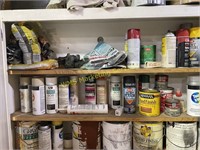 Paint Cabinet Contents Only