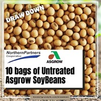 10 bags of Untreated Asgrow Beans