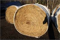 (5) Large Round Bales of Hay