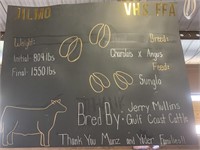Steer- Tag #4- The Villages High School