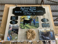 Steer- Tag #10- Jackson Davis