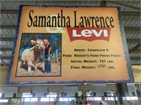 Steer- Tag #18- Samantha Lawrence