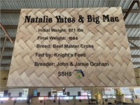 Steer- Tag #21- Natalie Yates