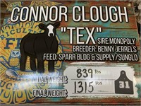 Steer- Tag #31- Connor Clough