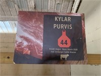 Steer- Tag #44- Kylar Purvis