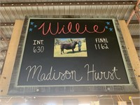 Steer- Tag #59-Madison Hurst