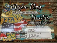 Steer- Tag #62- Mason Clay