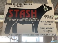Steer- Tag #76- Matthew Pope