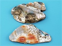 2 Very nice abalone shell pendants, about between