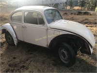 1969 VOLKSWAGEN BUG