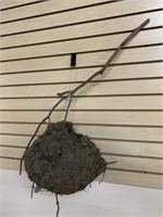 Wasp Nest - Antique with Bird Nest Inside