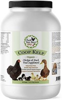 Fresh Eggs Daily Coop Kelp Organic