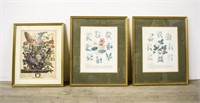 3 Botanical Prints
