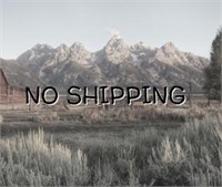 NO SHIPPING